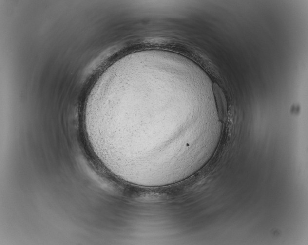 X0000113630734200910091555