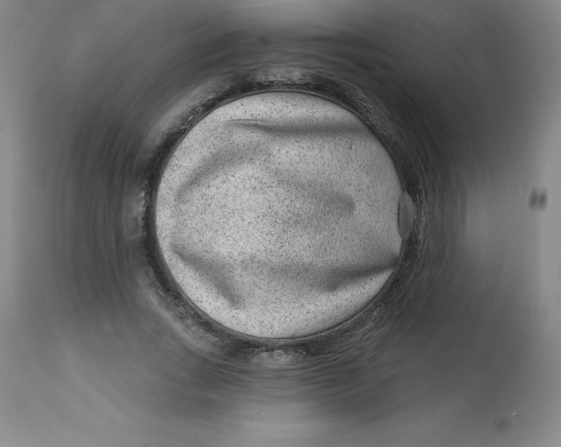 X0000113630735200910091555