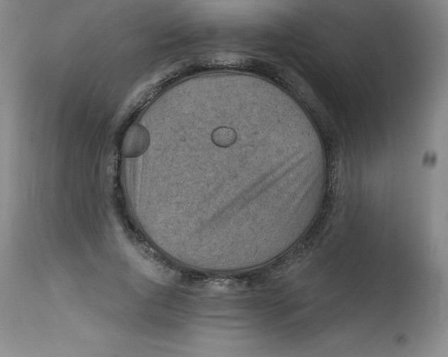 X0000113630736200910091555