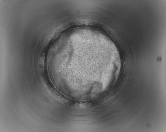 X0000113630739200910091555