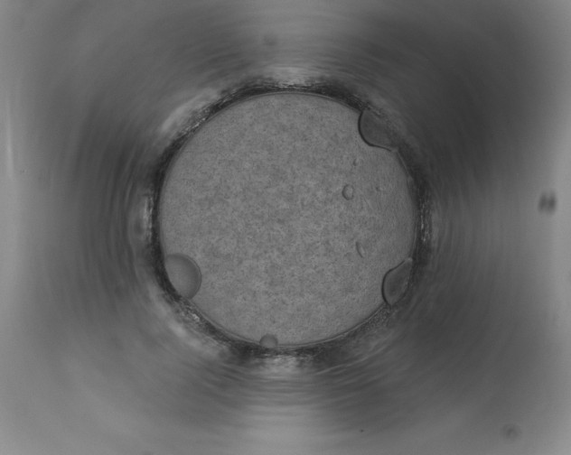 X0000113630740200910091555