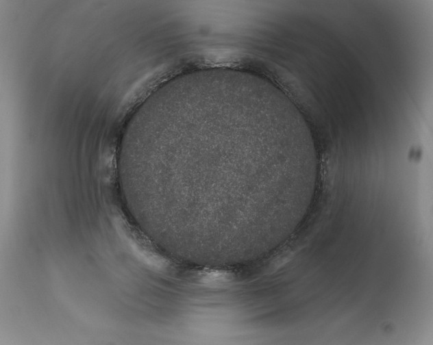 X0000113630741200910091555