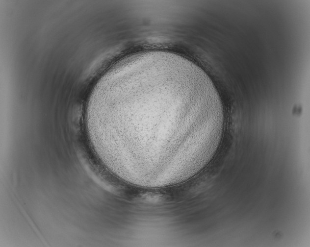 X0000113630742200910091555