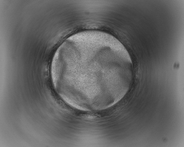 X0000113630743200910091555