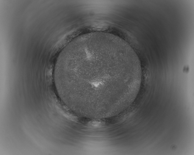 X0000113630745200910091555