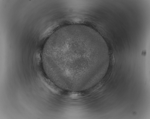 X0000113630746200910091555