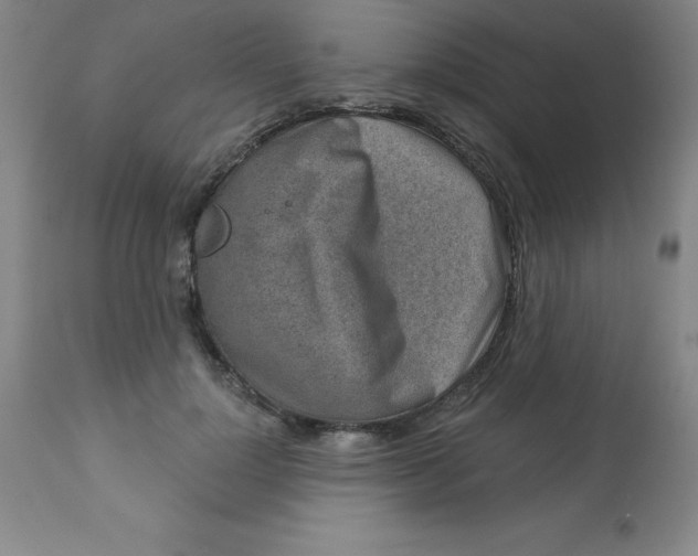 X0000113630748200910091555