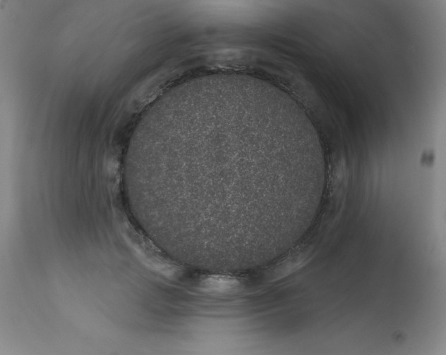 X0000113630749200910091555