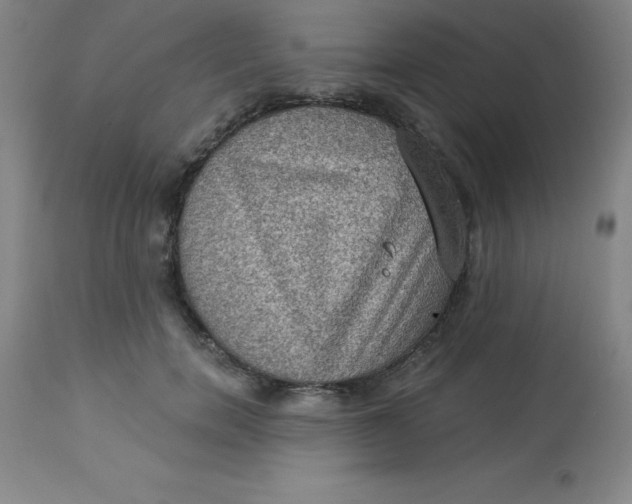 X0000113630750200910091556