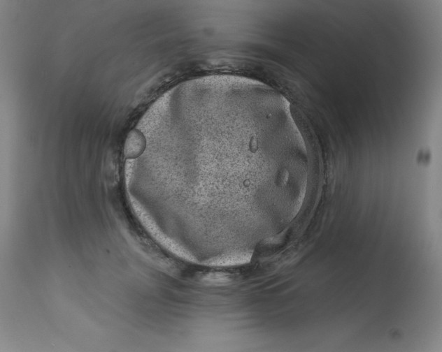 X0000113630751200910091556