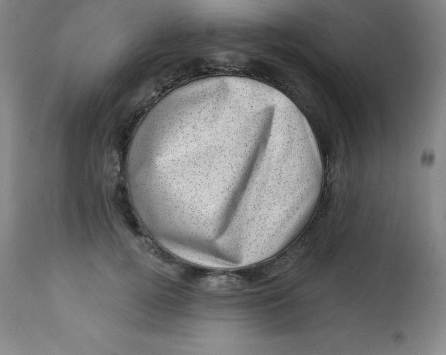 X0000113630752200910091556