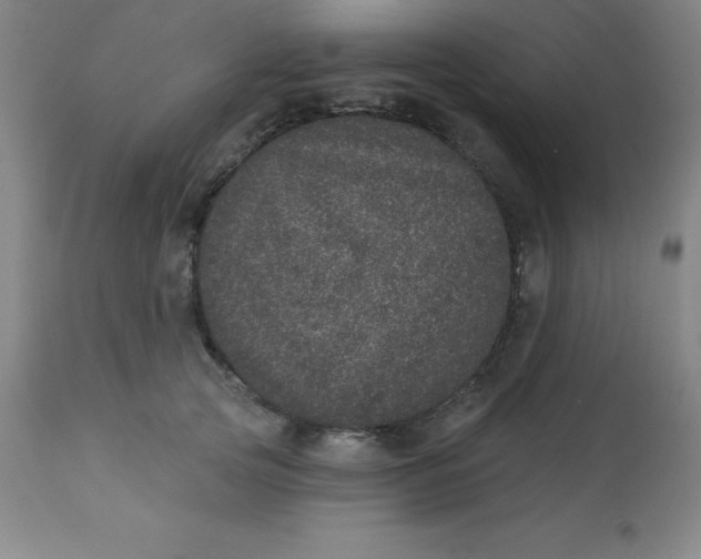 X0000113630753200910091556