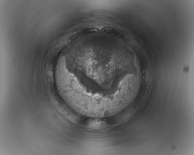 X0000113630754200910091556