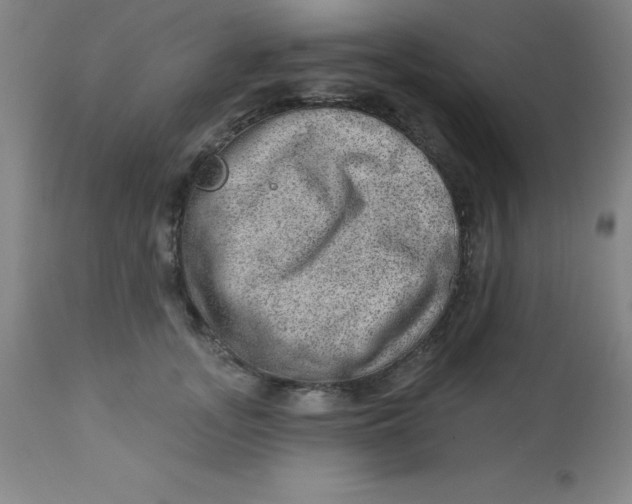 X0000113630755200910091556