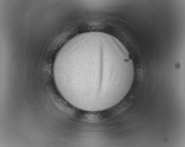 X0000113630756200910091556