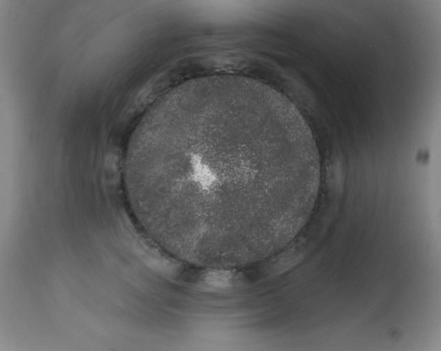 X0000113630757200910091556