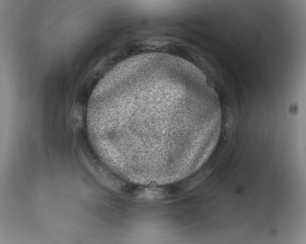 X0000113630758200910091556