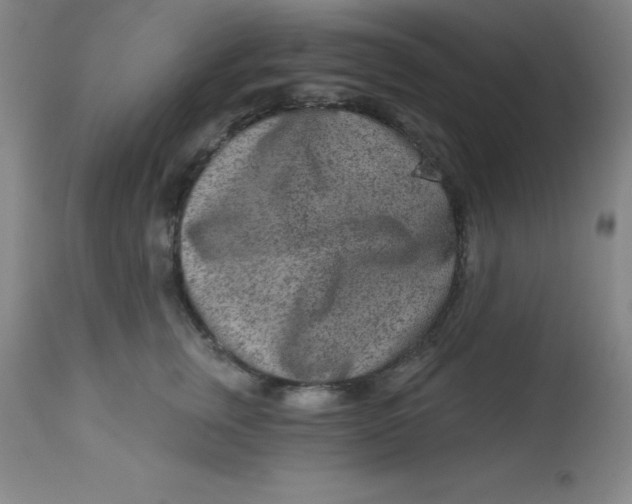 X0000113630759200910091556