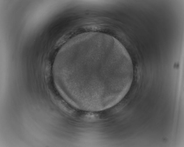 X0000113630760200910091556