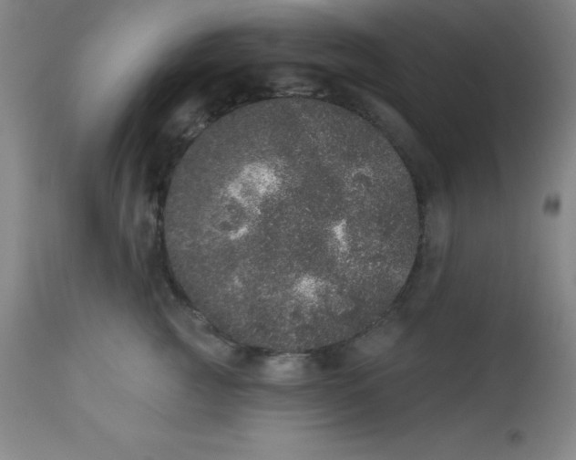 X0000113630761200910091556