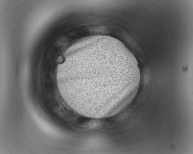 X0000113630764200910091556