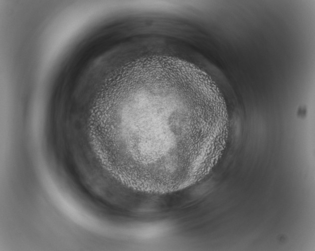 X0000113630765200910091556