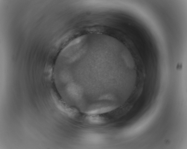 X0000113630767200910091556