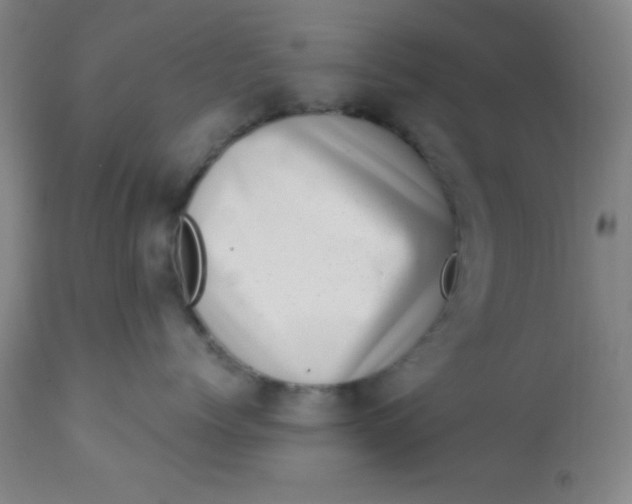 X0000113630768200910091556