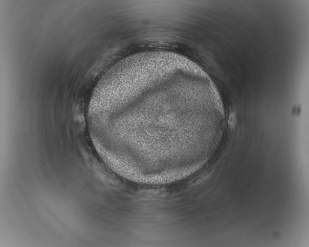 X0000113630771200910091555