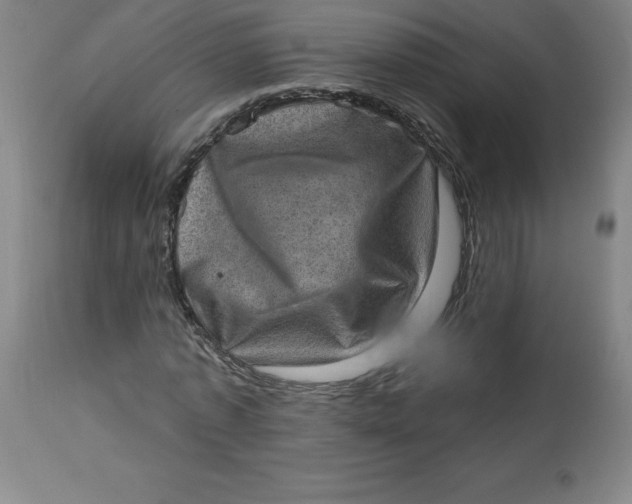 X0000113630773200910091555