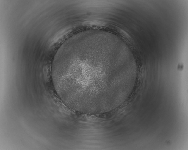 X0000113630774200910091555