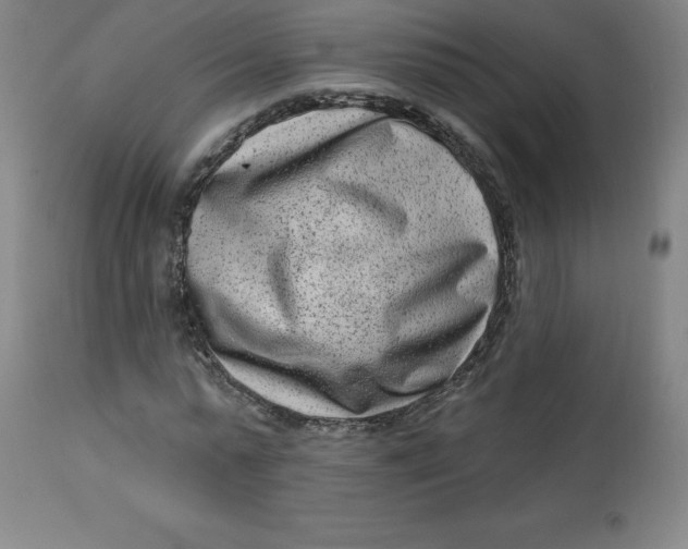 X0000113630775200910091555