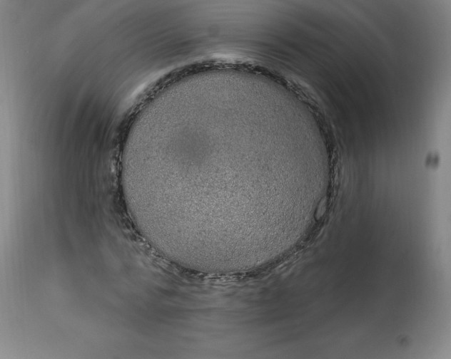 X0000113630776200910091555