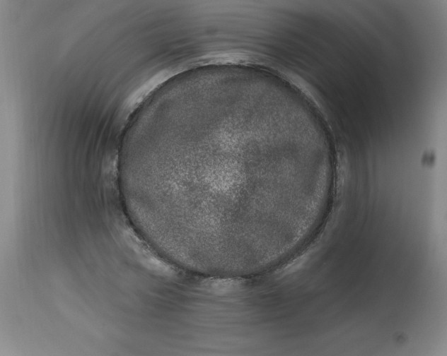 X0000113630778200910091555