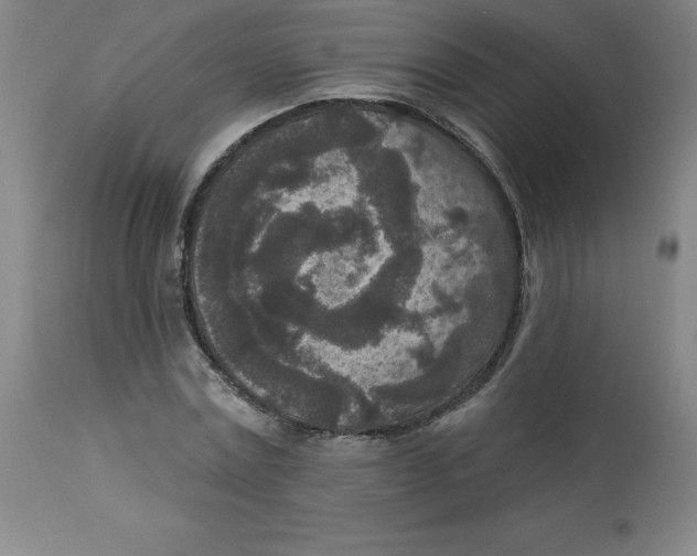 X0000113630779200910091555