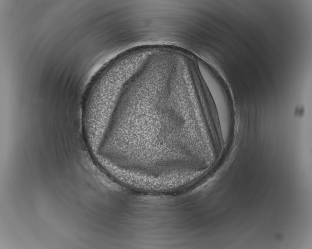 X0000113630781200910091555