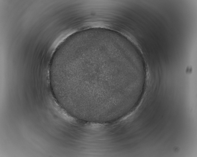 X0000113630782200910091555