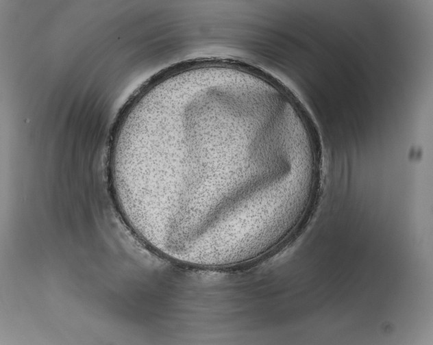 X0000113630783200910091555