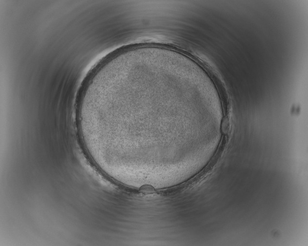 X0000113630784200910091555