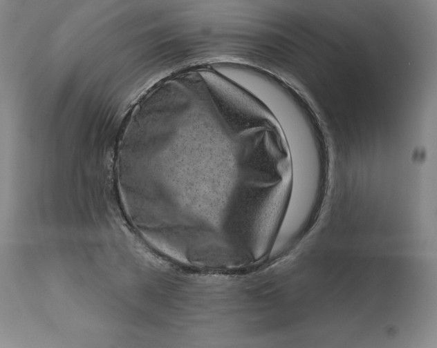 X0000113630785200910091555