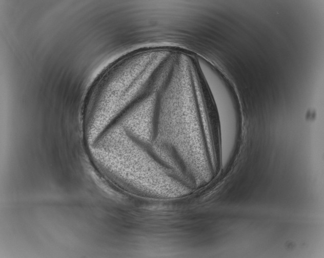 X0000113630789200910091555