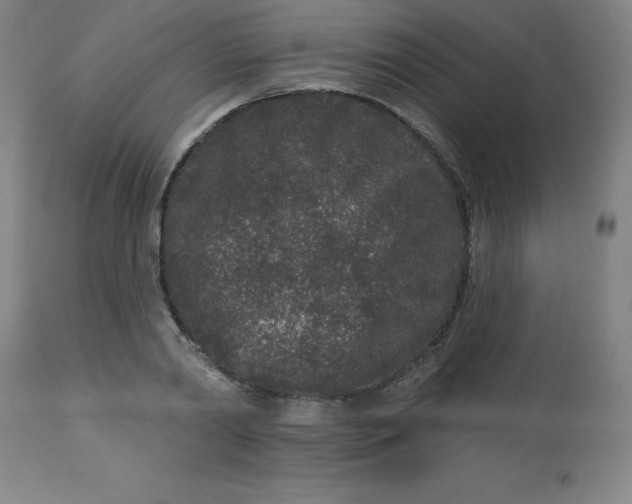 X0000113630790200910091555