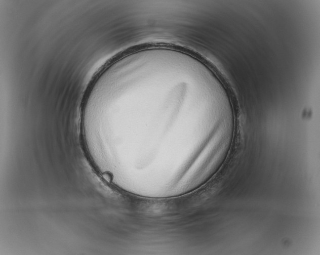 X0000113630791200910091555