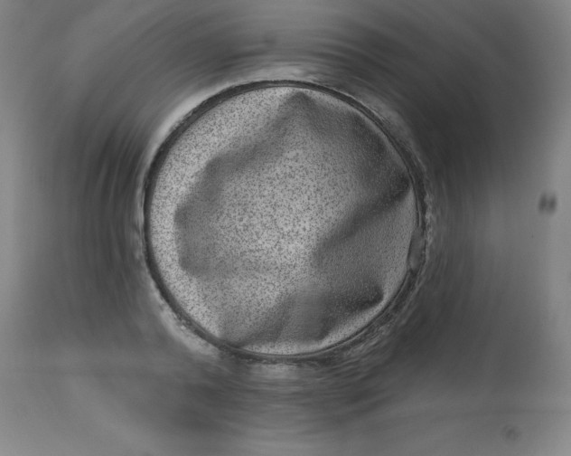 X0000113630792200910091555