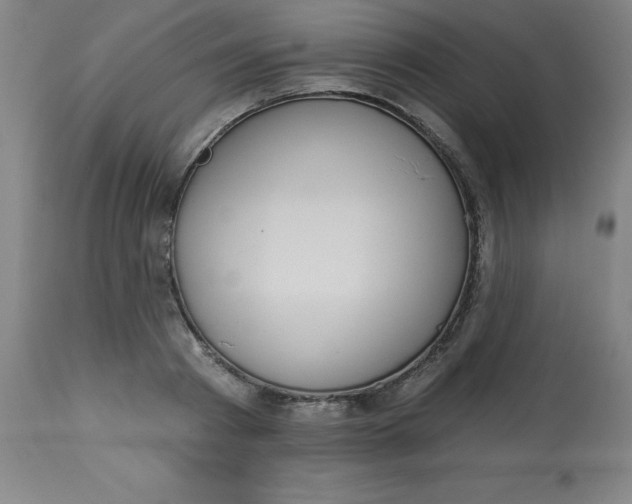 X0000113630793200910091555