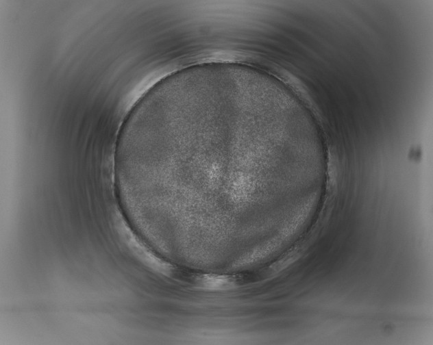 X0000113630794200910091555