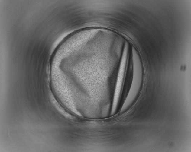 X0000113630796200910091555