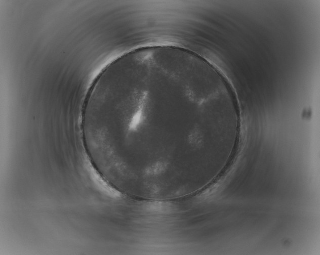 X0000113630797200910091555