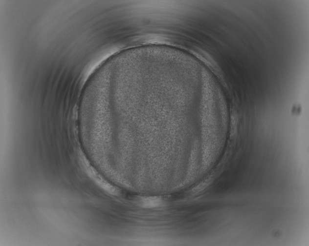 X0000113630798200910091555