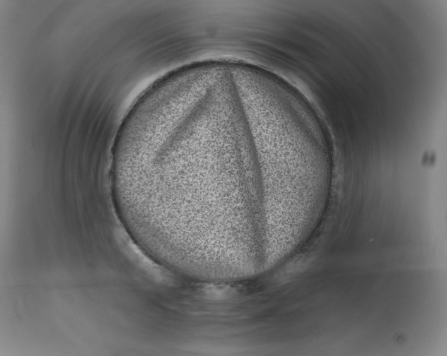 X0000113630799200910091555